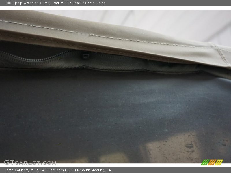 Patriot Blue Pearl / Camel Beige 2002 Jeep Wrangler X 4x4