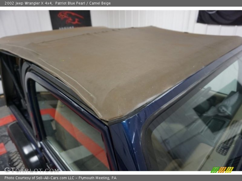 Patriot Blue Pearl / Camel Beige 2002 Jeep Wrangler X 4x4