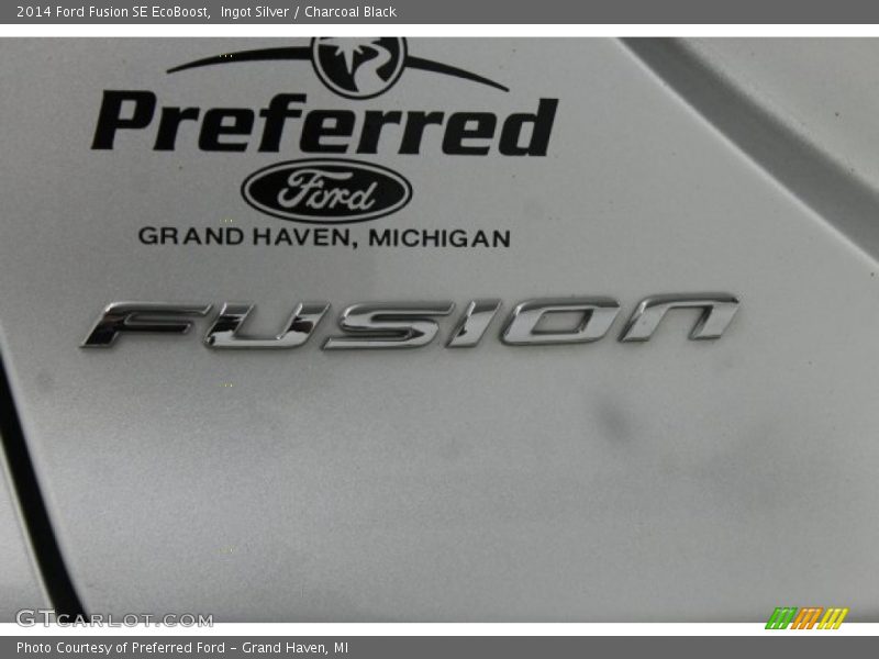 Ingot Silver / Charcoal Black 2014 Ford Fusion SE EcoBoost