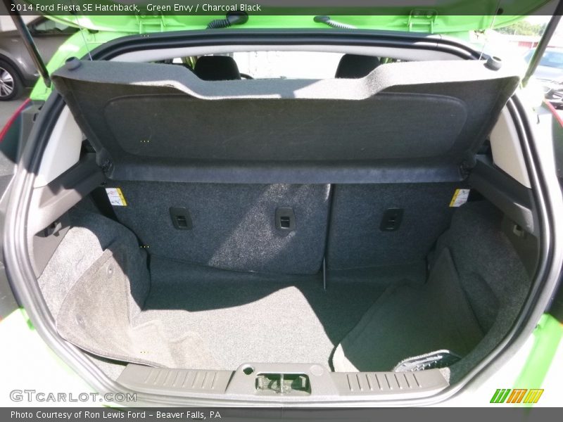 Green Envy / Charcoal Black 2014 Ford Fiesta SE Hatchback