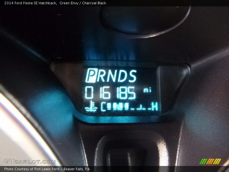 Green Envy / Charcoal Black 2014 Ford Fiesta SE Hatchback