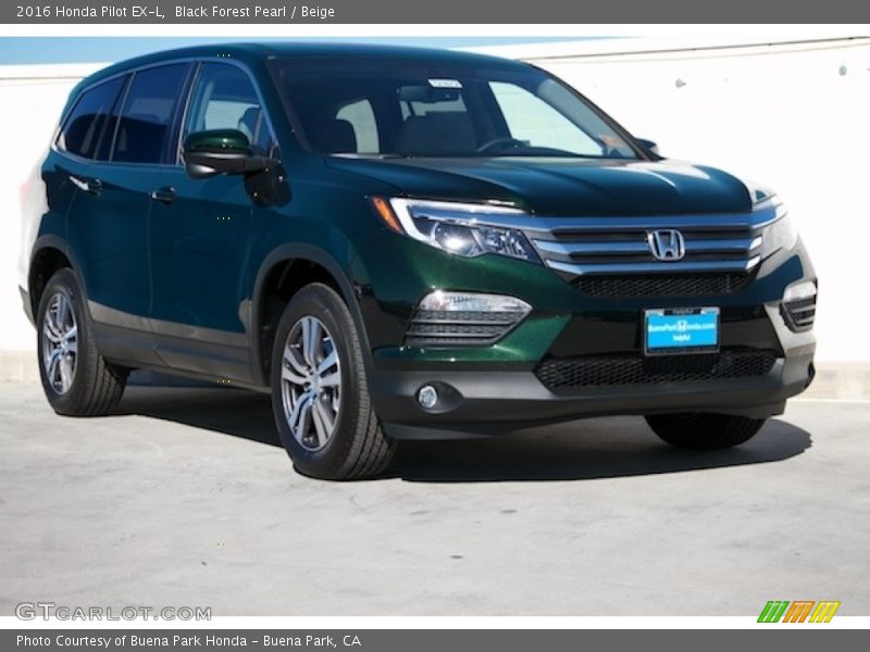 Black Forest Pearl / Beige 2016 Honda Pilot EX-L