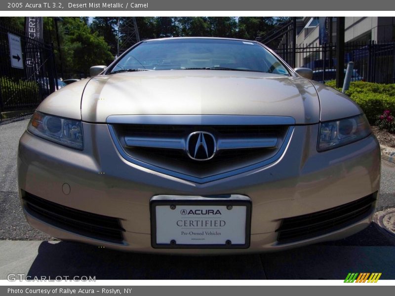 Desert Mist Metallic / Camel 2005 Acura TL 3.2