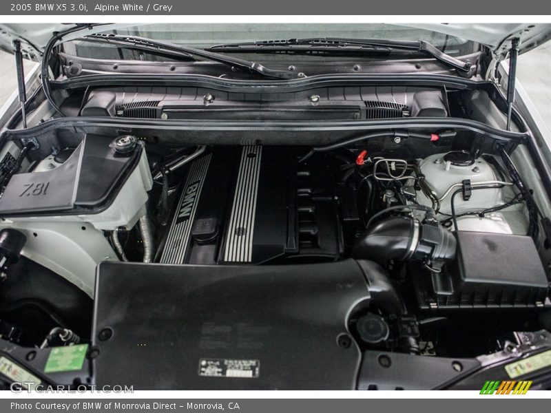 Alpine White / Grey 2005 BMW X5 3.0i