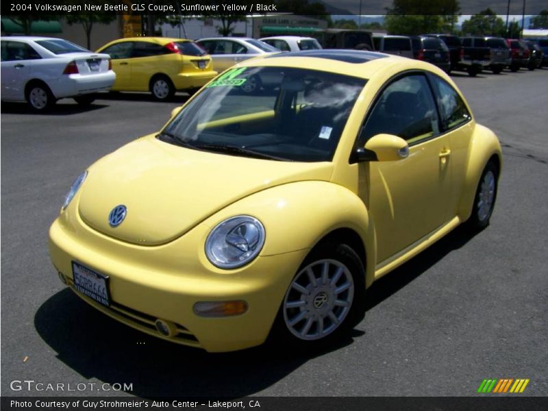 Sunflower Yellow / Black 2004 Volkswagen New Beetle GLS Coupe