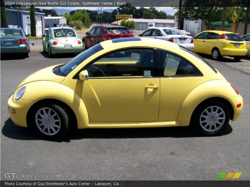Sunflower Yellow / Black 2004 Volkswagen New Beetle GLS Coupe