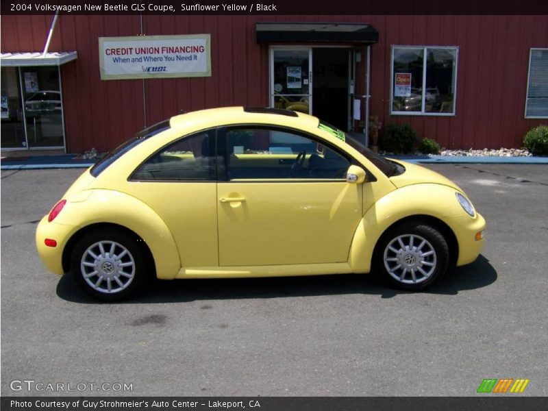 Sunflower Yellow / Black 2004 Volkswagen New Beetle GLS Coupe
