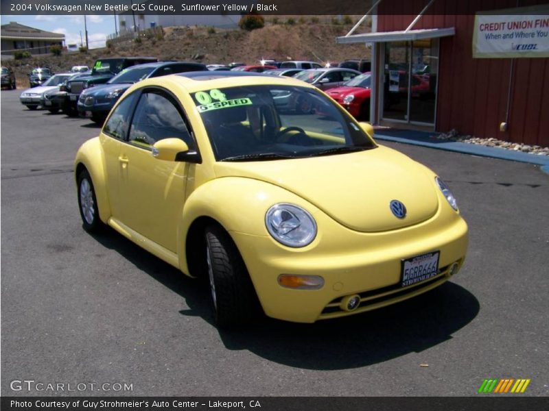 Sunflower Yellow / Black 2004 Volkswagen New Beetle GLS Coupe