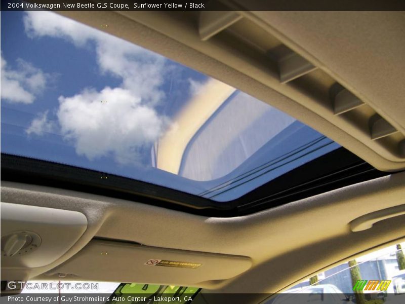 Sunflower Yellow / Black 2004 Volkswagen New Beetle GLS Coupe