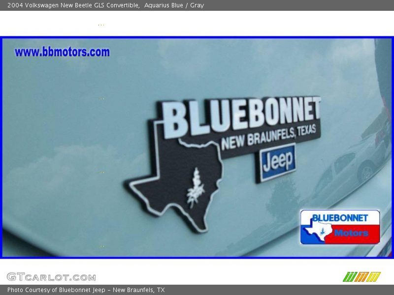 Aquarius Blue / Gray 2004 Volkswagen New Beetle GLS Convertible