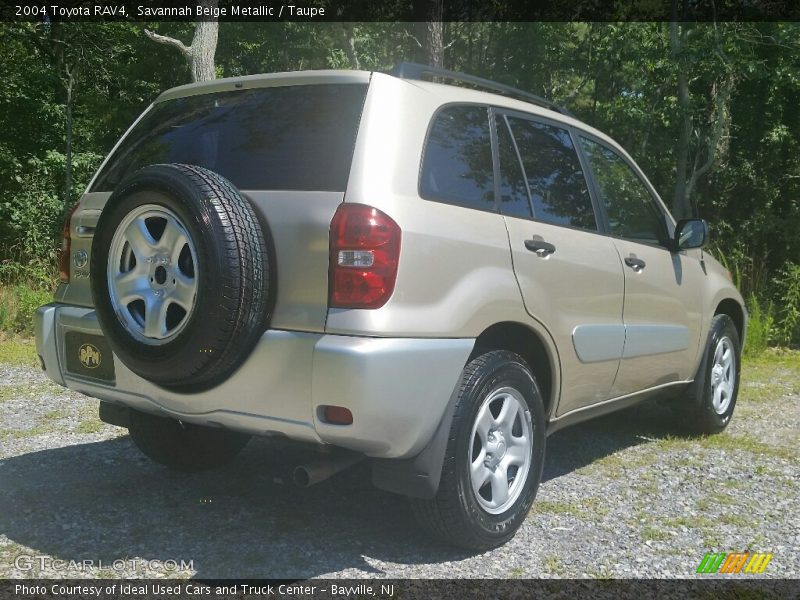 Savannah Beige Metallic / Taupe 2004 Toyota RAV4