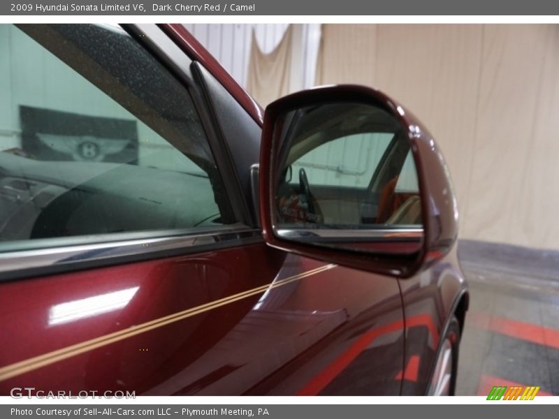 Dark Cherry Red / Camel 2009 Hyundai Sonata Limited V6