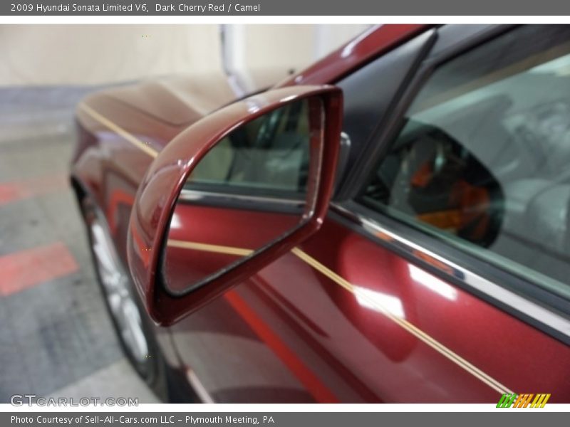 Dark Cherry Red / Camel 2009 Hyundai Sonata Limited V6