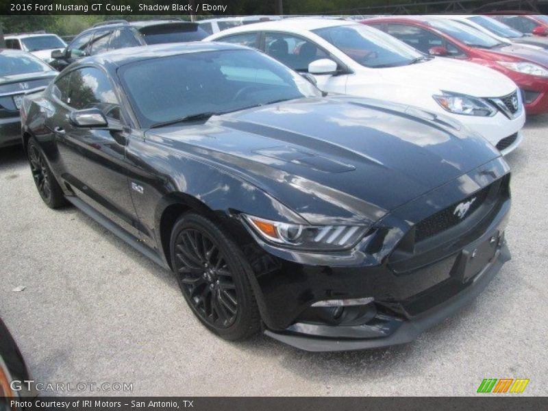 Shadow Black / Ebony 2016 Ford Mustang GT Coupe