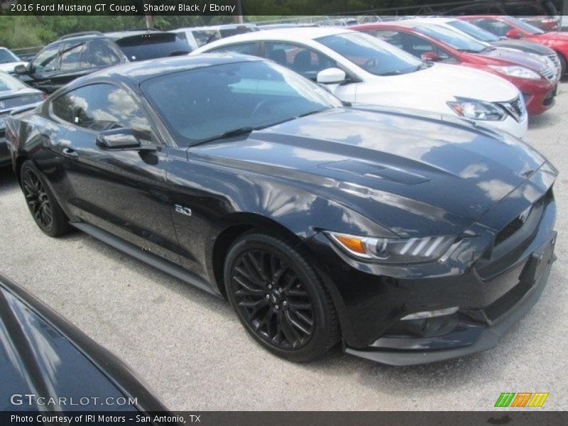 Shadow Black / Ebony 2016 Ford Mustang GT Coupe