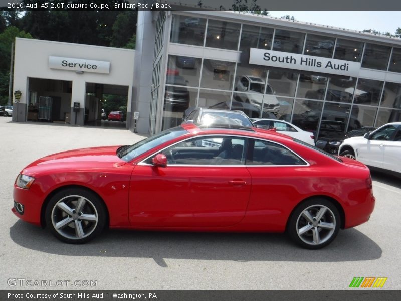 Brilliant Red / Black 2010 Audi A5 2.0T quattro Coupe
