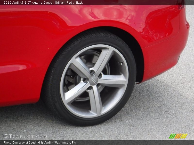 Brilliant Red / Black 2010 Audi A5 2.0T quattro Coupe