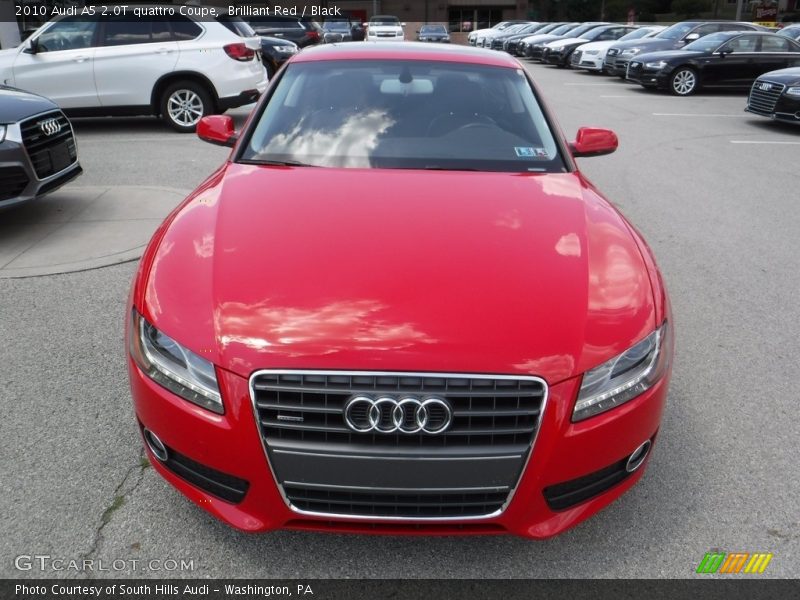 Brilliant Red / Black 2010 Audi A5 2.0T quattro Coupe