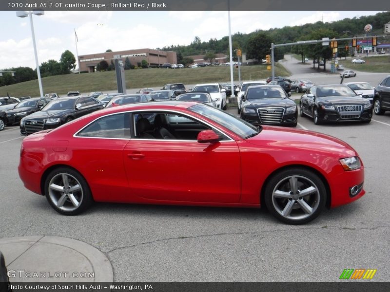 Brilliant Red / Black 2010 Audi A5 2.0T quattro Coupe