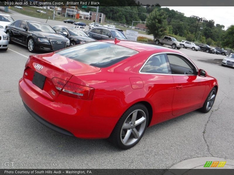 Brilliant Red / Black 2010 Audi A5 2.0T quattro Coupe