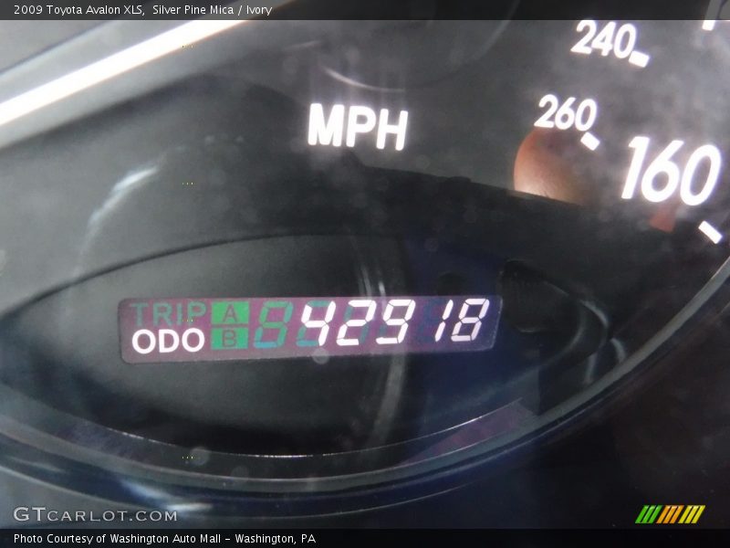 Silver Pine Mica / Ivory 2009 Toyota Avalon XLS