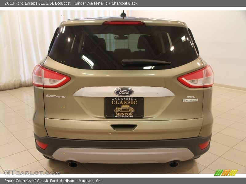Ginger Ale Metallic / Charcoal Black 2013 Ford Escape SEL 1.6L EcoBoost