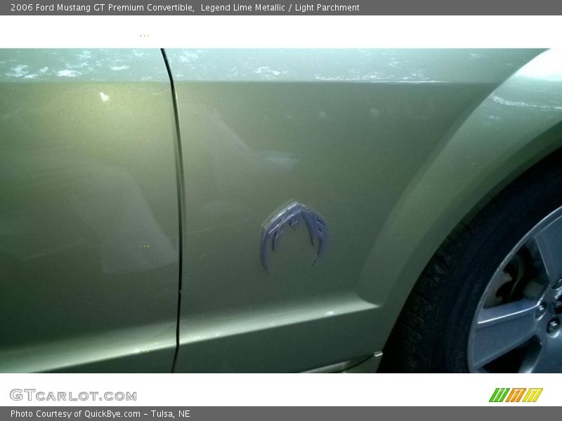 Legend Lime Metallic / Light Parchment 2006 Ford Mustang GT Premium Convertible
