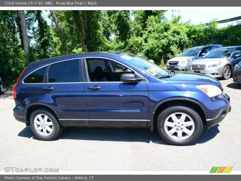 Royal Blue Pearl / Black 2008 Honda CR-V EX 4WD