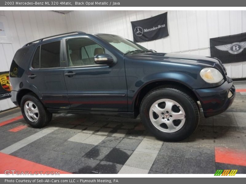 Black Opal Metallic / Java 2003 Mercedes-Benz ML 320 4Matic