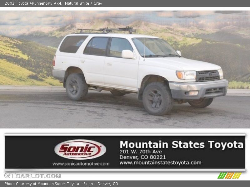 Natural White / Gray 2002 Toyota 4Runner SR5 4x4