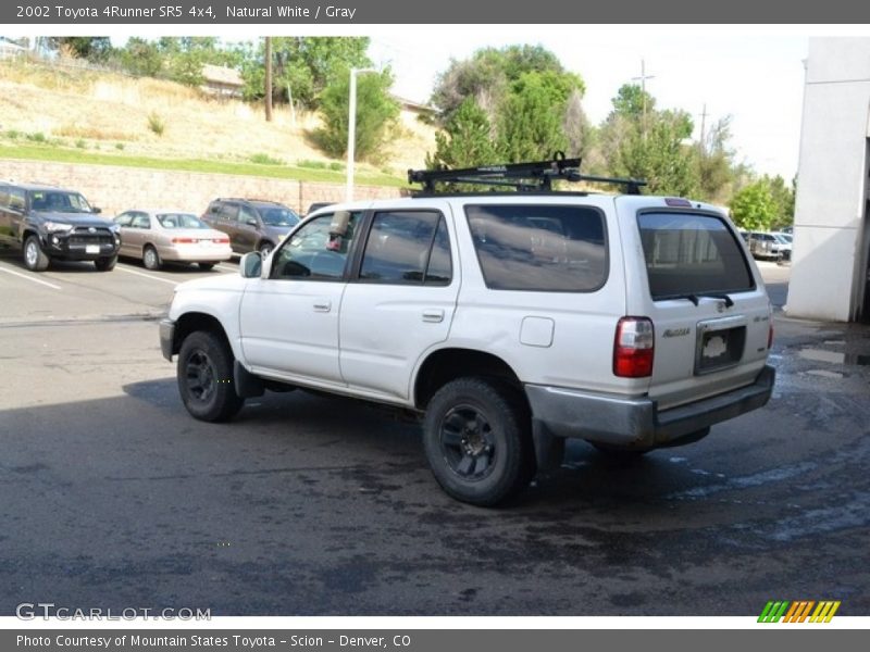 Natural White / Gray 2002 Toyota 4Runner SR5 4x4