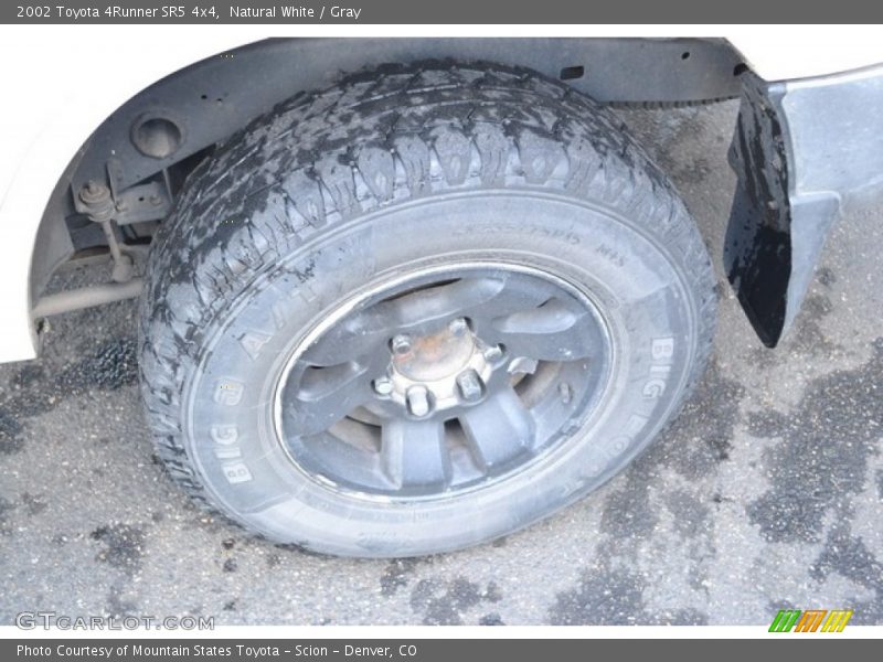 Natural White / Gray 2002 Toyota 4Runner SR5 4x4