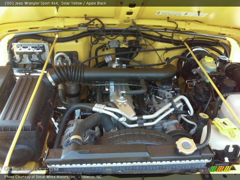 Solar Yellow / Agate Black 2001 Jeep Wrangler Sport 4x4