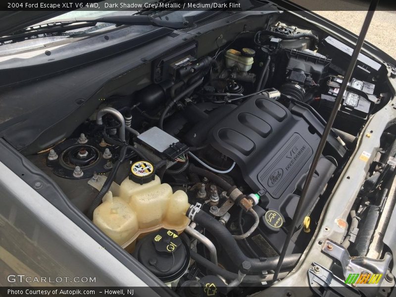 Dark Shadow Grey Metallic / Medium/Dark Flint 2004 Ford Escape XLT V6 4WD
