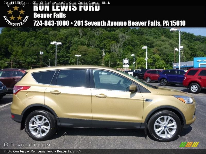 Karat Gold / Charcoal Black 2014 Ford Escape SE 1.6L EcoBoost 4WD