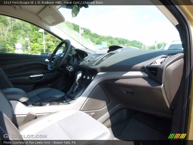 Karat Gold / Charcoal Black 2014 Ford Escape SE 1.6L EcoBoost 4WD