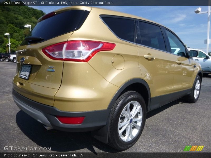 Karat Gold / Charcoal Black 2014 Ford Escape SE 1.6L EcoBoost 4WD