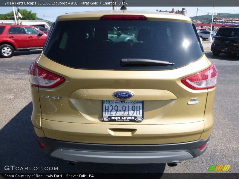 Karat Gold / Charcoal Black 2014 Ford Escape SE 1.6L EcoBoost 4WD