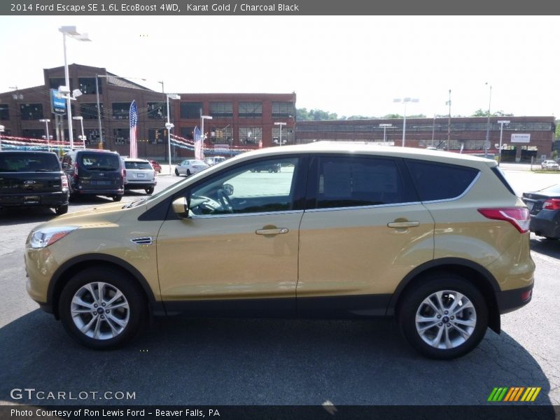 Karat Gold / Charcoal Black 2014 Ford Escape SE 1.6L EcoBoost 4WD