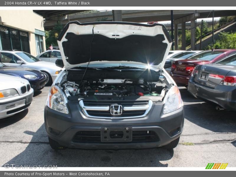 Taffeta White / Black 2004 Honda CR-V LX 4WD