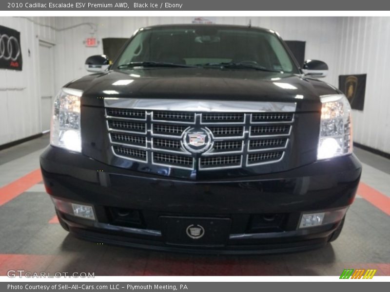 Black Ice / Ebony 2010 Cadillac Escalade ESV Premium AWD