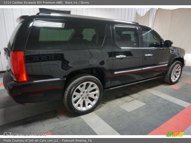Black Ice / Ebony 2010 Cadillac Escalade ESV Premium AWD