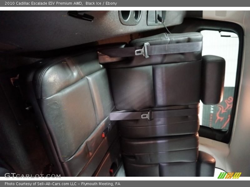 Black Ice / Ebony 2010 Cadillac Escalade ESV Premium AWD
