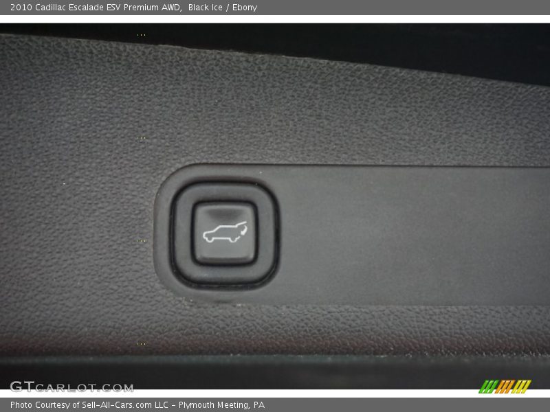 Black Ice / Ebony 2010 Cadillac Escalade ESV Premium AWD