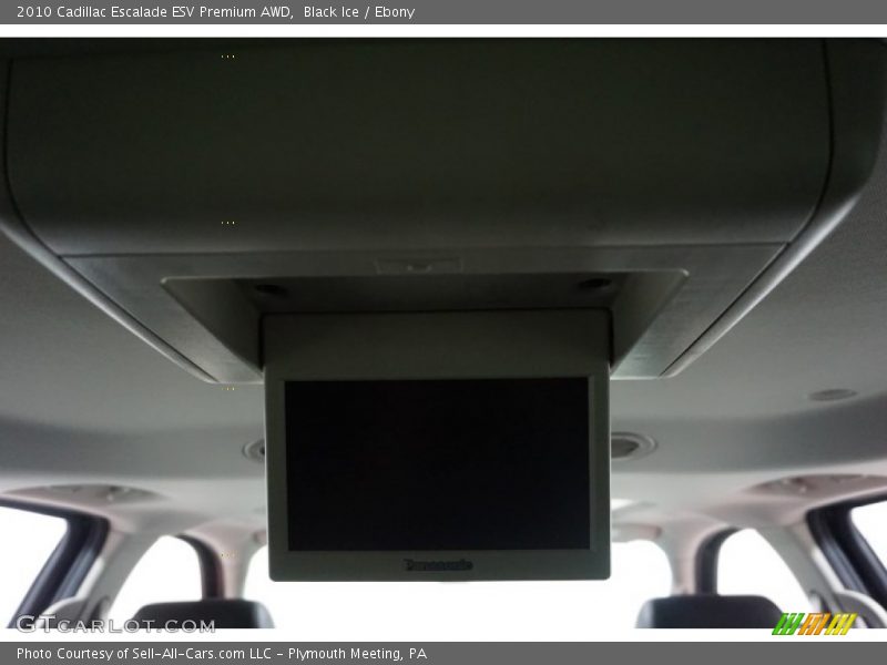 Black Ice / Ebony 2010 Cadillac Escalade ESV Premium AWD