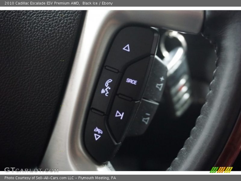Black Ice / Ebony 2010 Cadillac Escalade ESV Premium AWD