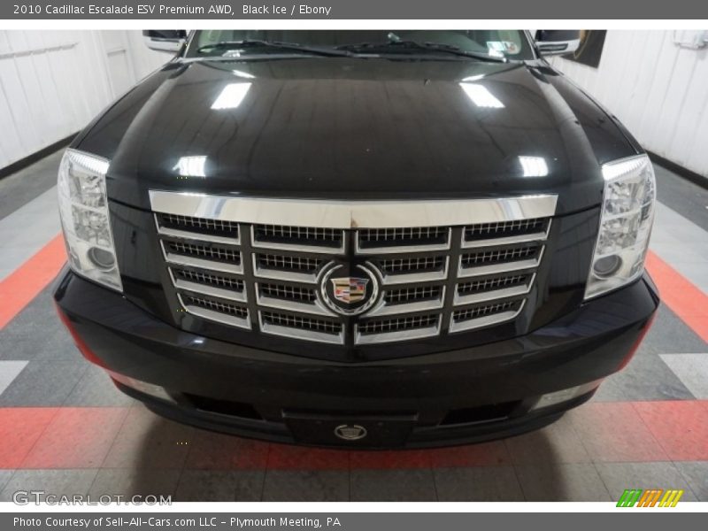 Black Ice / Ebony 2010 Cadillac Escalade ESV Premium AWD