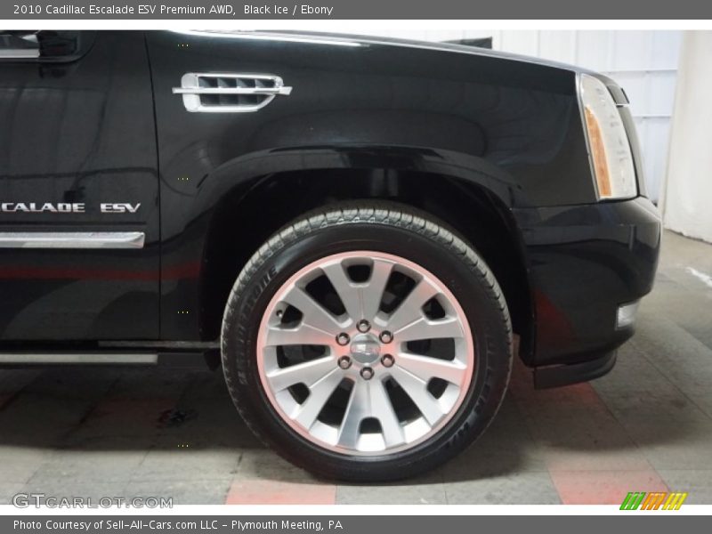 Black Ice / Ebony 2010 Cadillac Escalade ESV Premium AWD