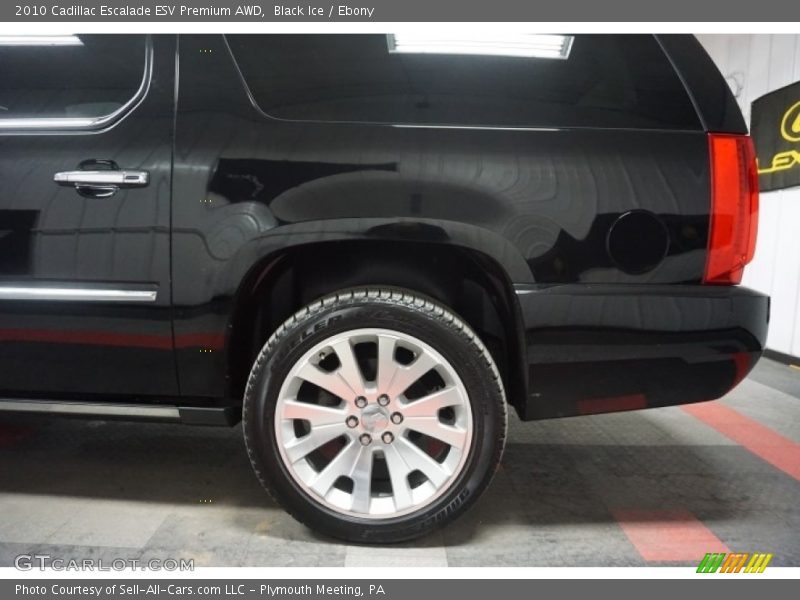 Black Ice / Ebony 2010 Cadillac Escalade ESV Premium AWD