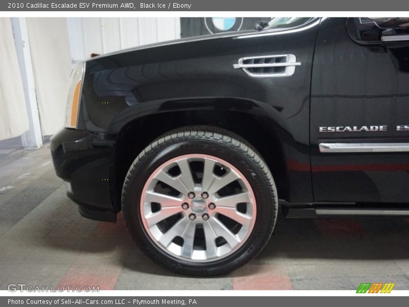 Black Ice / Ebony 2010 Cadillac Escalade ESV Premium AWD